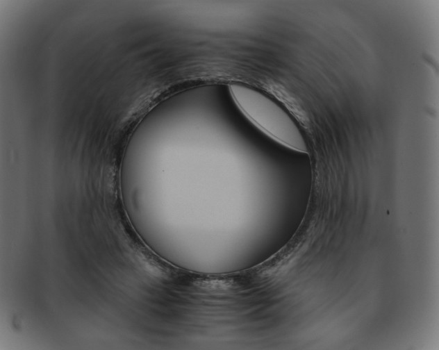 X0000092020449200709061333