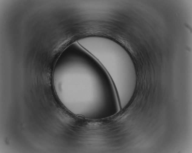 X0000092020450200709061333