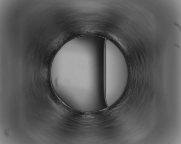 X0000092020451200709061333