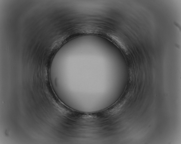 X0000092020453200709061333