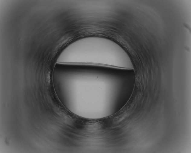 X0000092020454200709061333