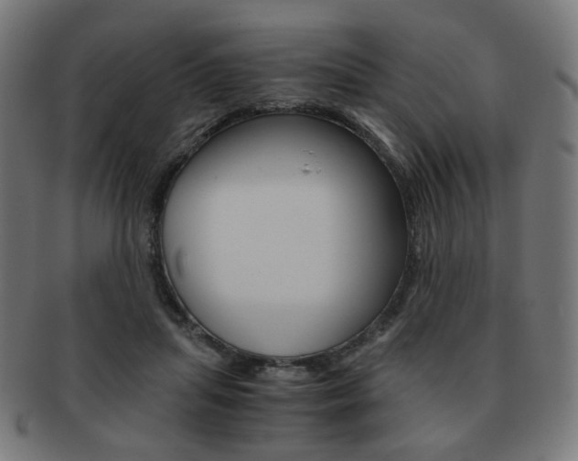 X0000092020455200709061333