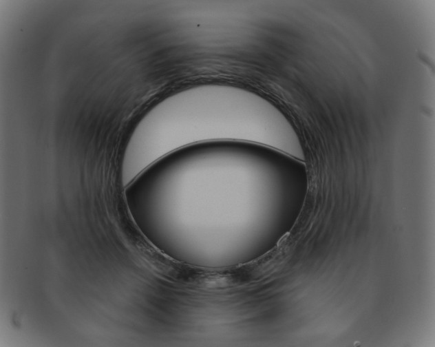 X0000092020456200709061333