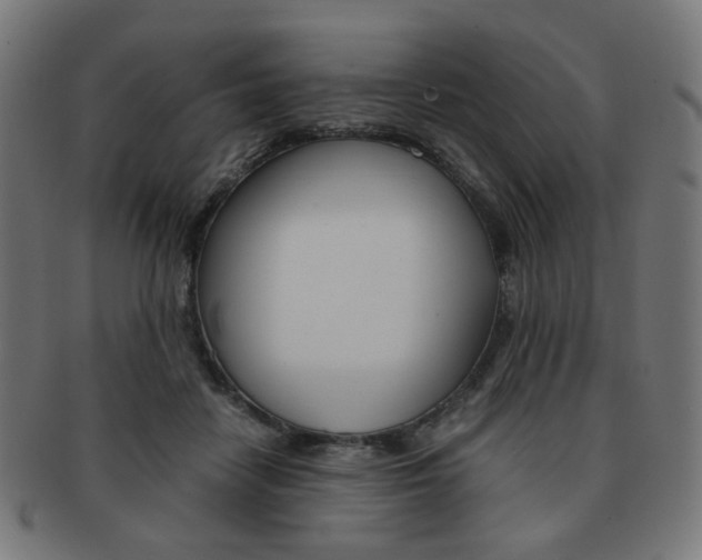 X0000092020458200709061333