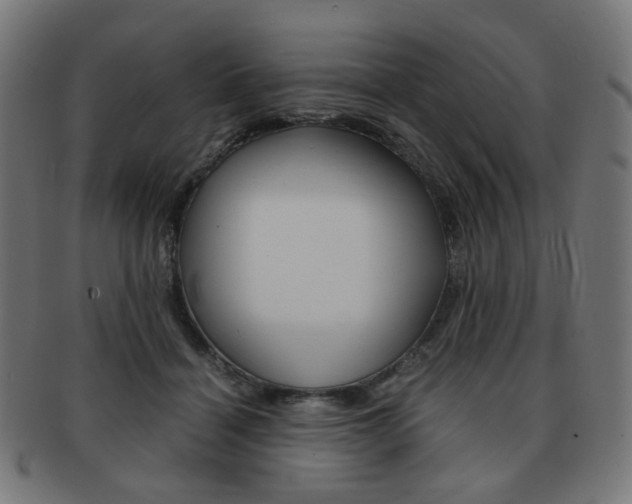 X0000092020460200709061333
