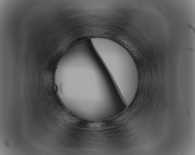 X0000092020461200709061333