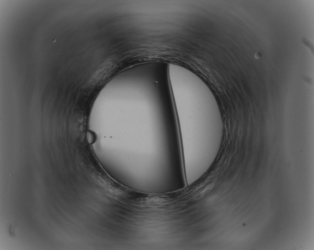 X0000092020462200709061333