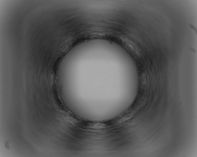 X0000092020463200709061333
