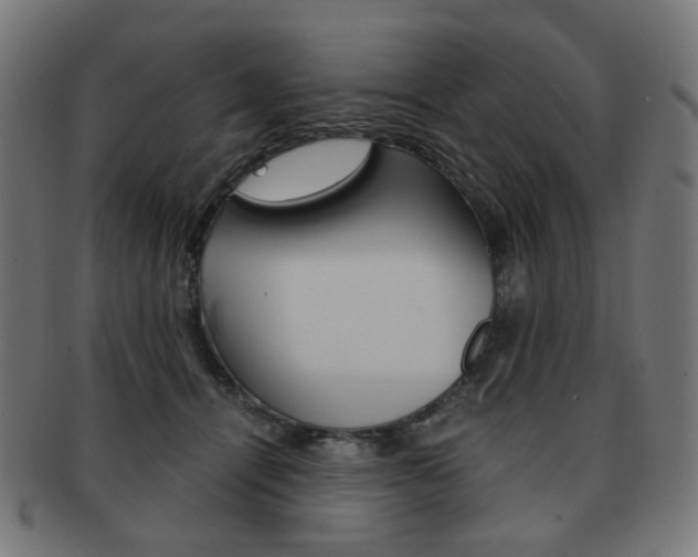 X0000092020464200709061333