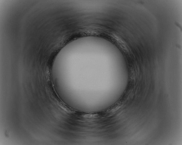 X0000092020465200709061333