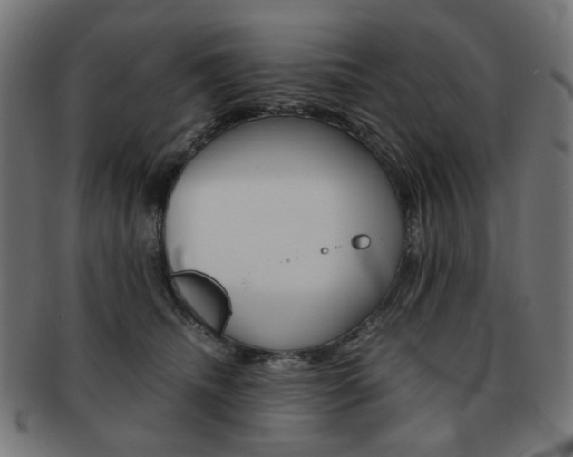 X0000092020468200709061333