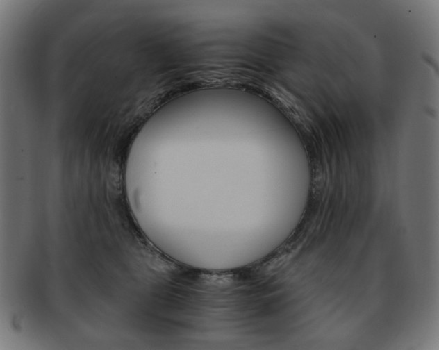 X0000092020469200709061333