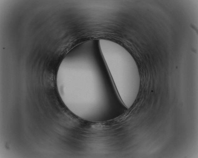 X0000092020470200709061333