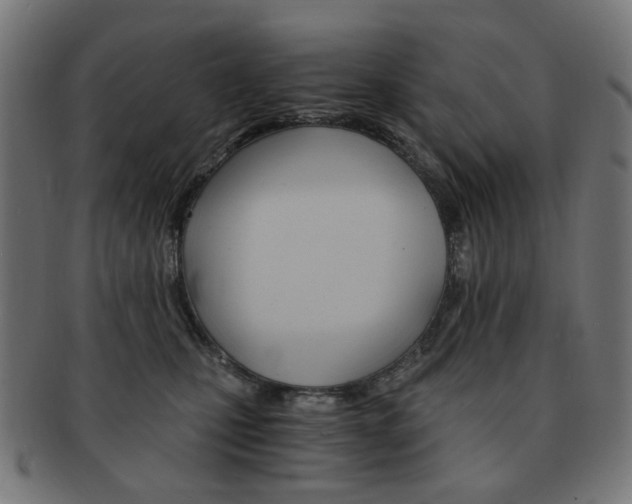 X0000092020471200709061333