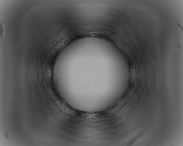 X0000092020472200709061333