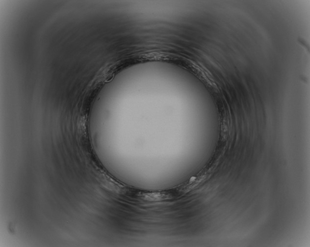 X0000092020473200709061333