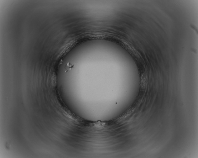 X0000092020474200709061333