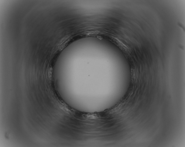 X0000092020475200709061333