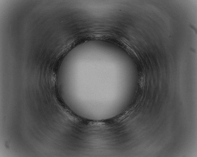 X0000092020476200709061333