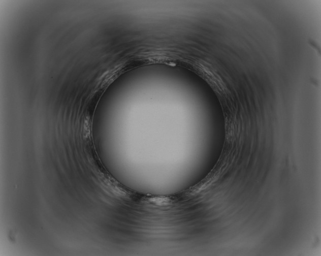 X0000092020478200709061333