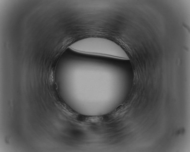 X0000092020479200709061333