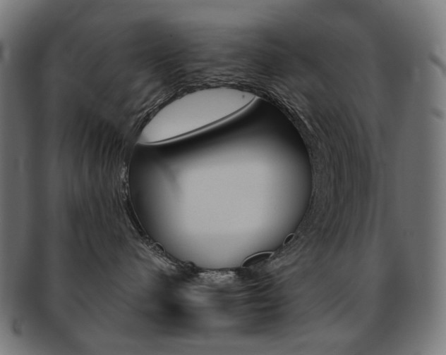 X0000092020480200709061333