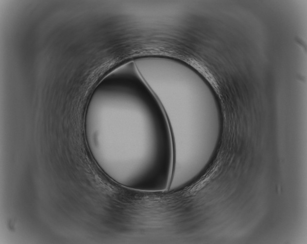 X0000092020481200709061332