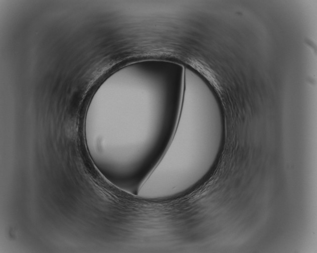 X0000092020483200709061332