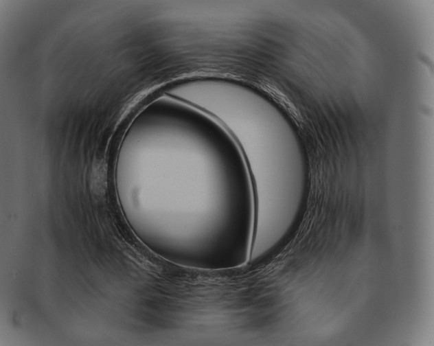 X0000092020484200709061332