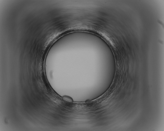 X0000092020487200709061332