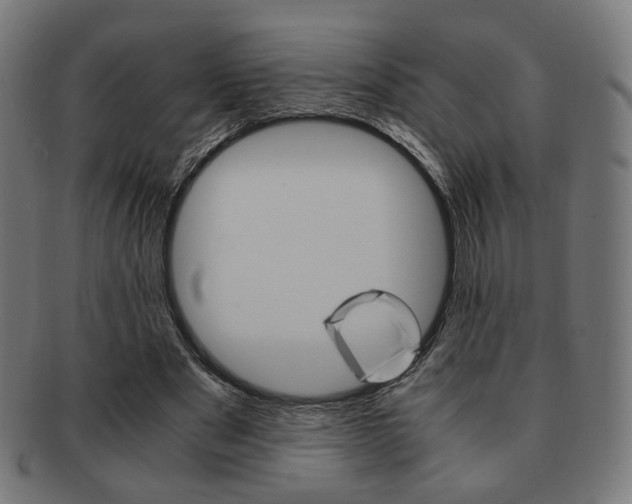 X0000092020489200709061332