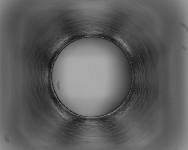 X0000092020490200709061332