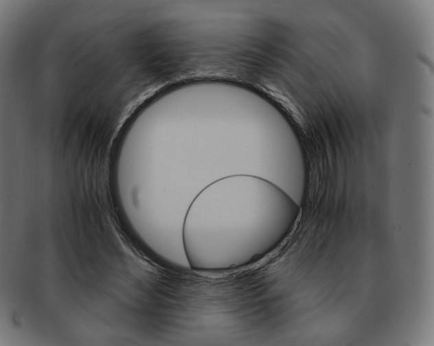 X0000092020492200709061332
