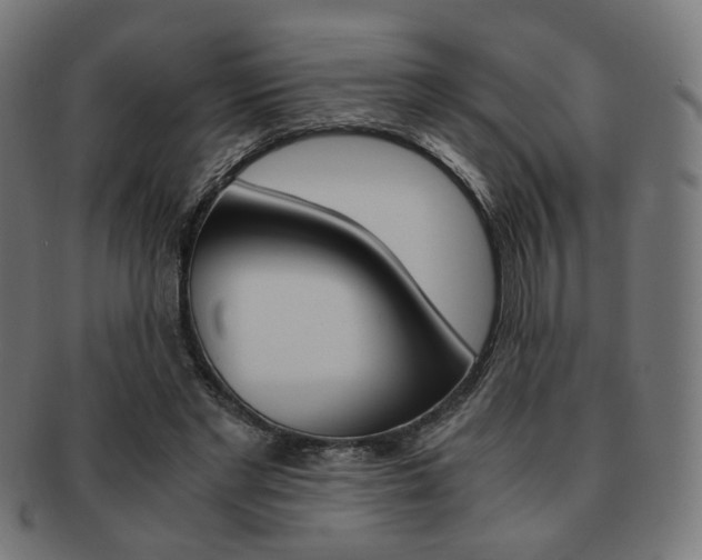 X0000092020493200709061332