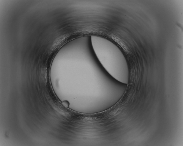 X0000092020494200709061332