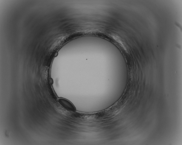 X0000092020495200709061332