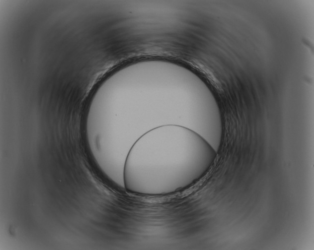 X0000092020496200709061332