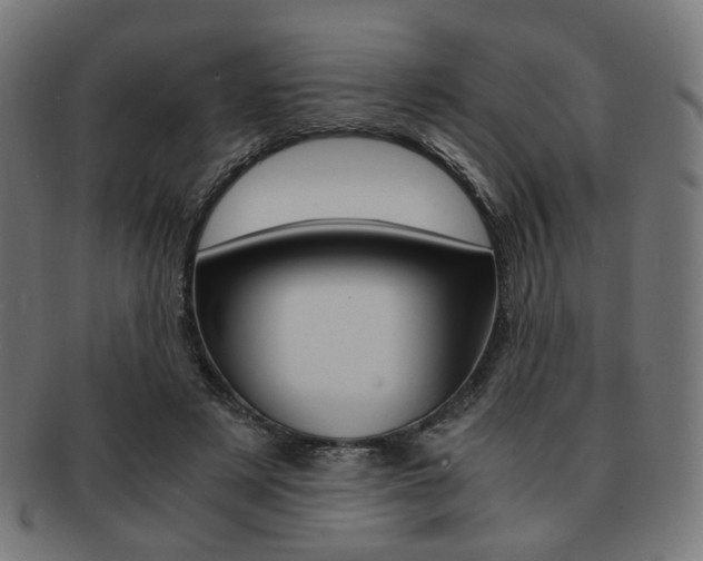 X0000092020497200709061332