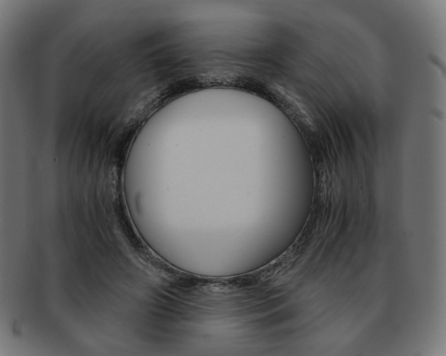 X0000092020498200709061332