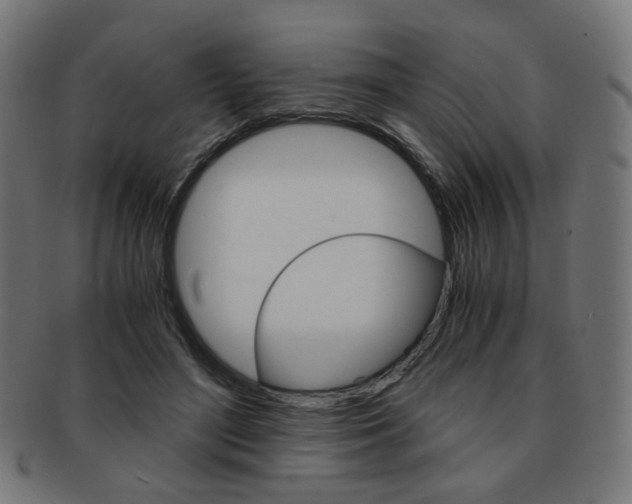 X0000092020500200709061332