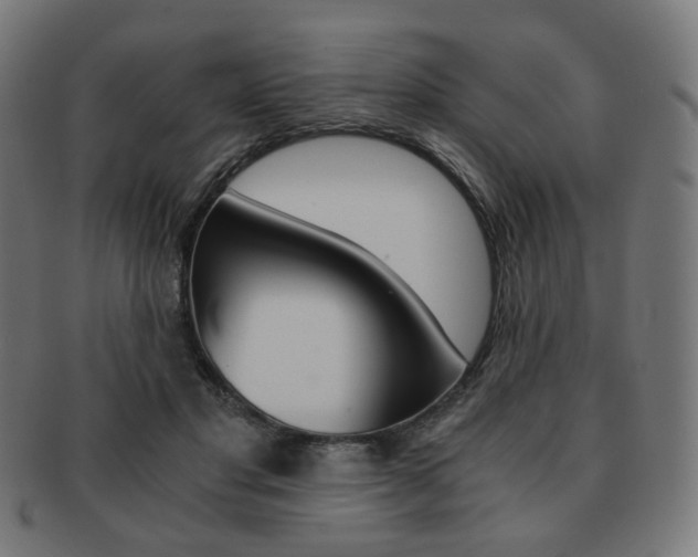 X0000092020501200709061332