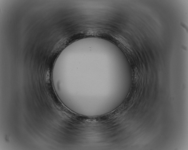 X0000092020502200709061332
