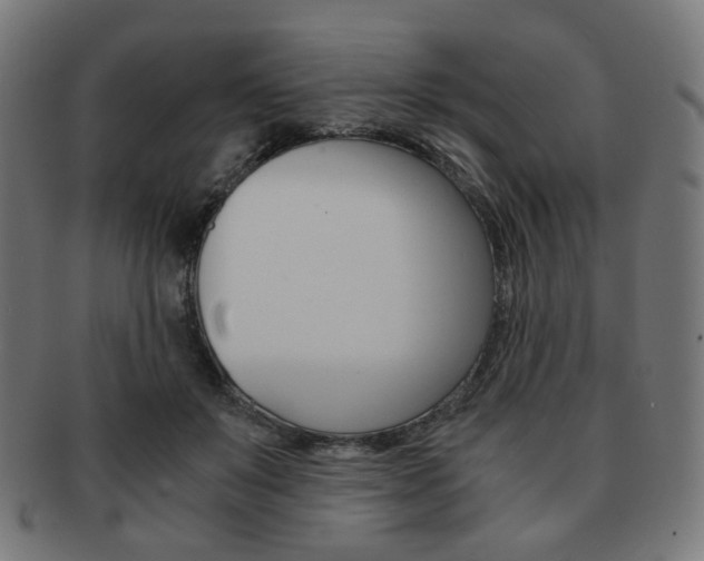 X0000092020503200709061332