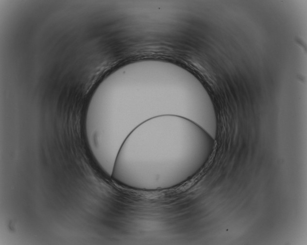 X0000092020504200709061332