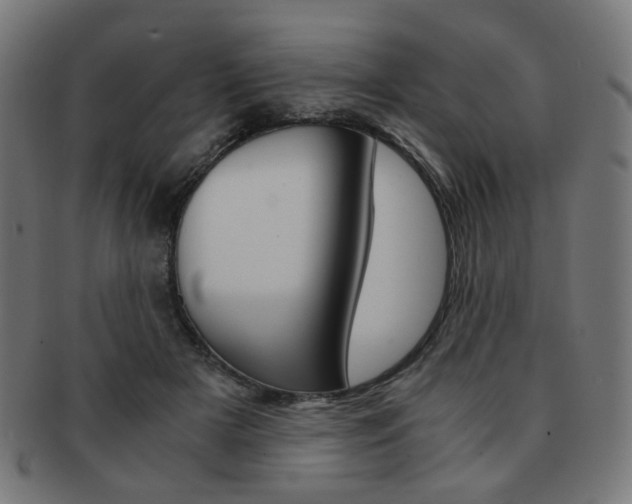 X0000092020505200709061332
