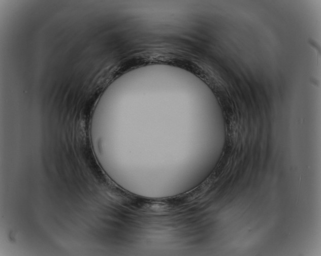 X0000092020506200709061332