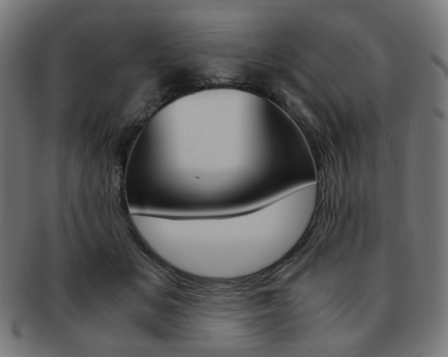 X0000092020509200709061332
