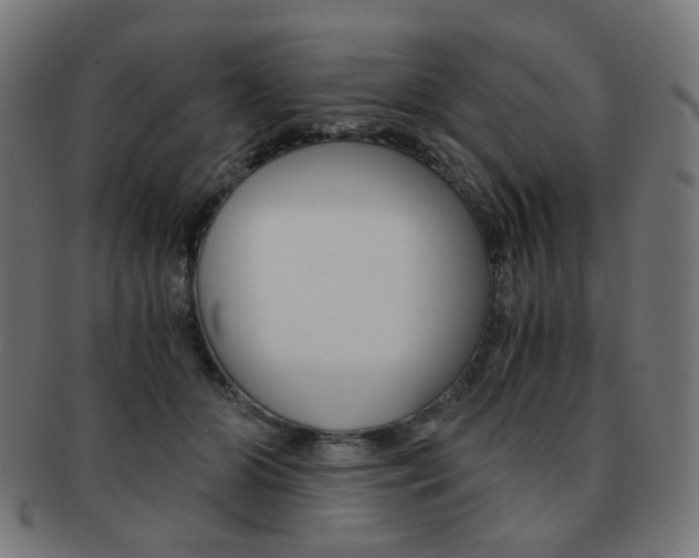 X0000092020510200709061332