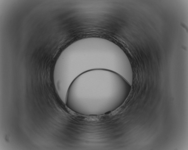 X0000092020512200709061332