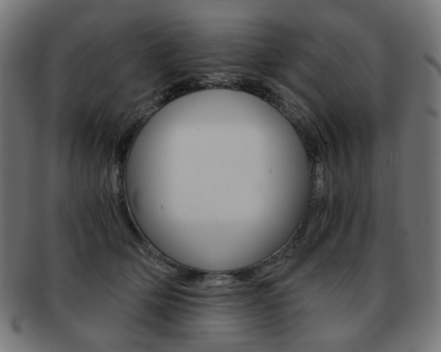 X0000092020514200709061332